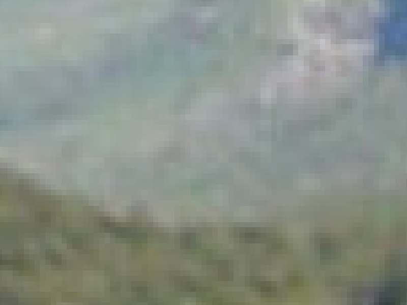 Look at the pixels!